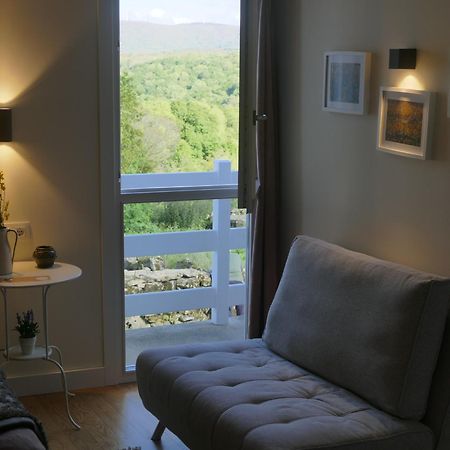 Pension O Corazon Da Ribeira Sacra La Teijeira エクステリア 写真