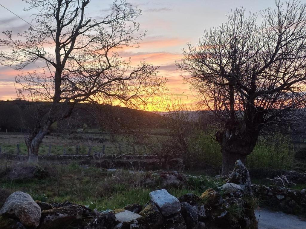 Pension O Corazon Da Ribeira Sacra La Teijeira エクステリア 写真