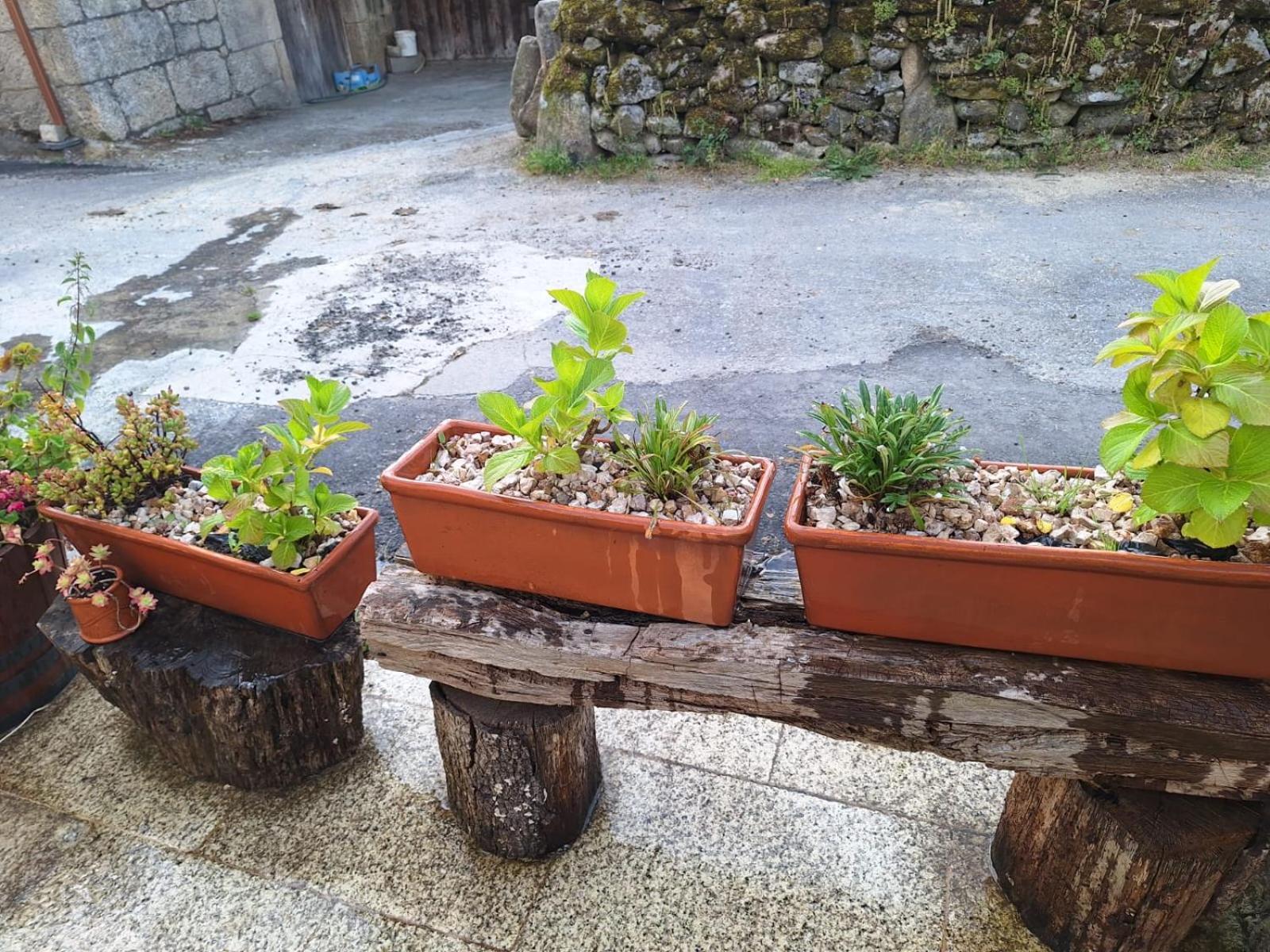 Pension O Corazon Da Ribeira Sacra La Teijeira エクステリア 写真