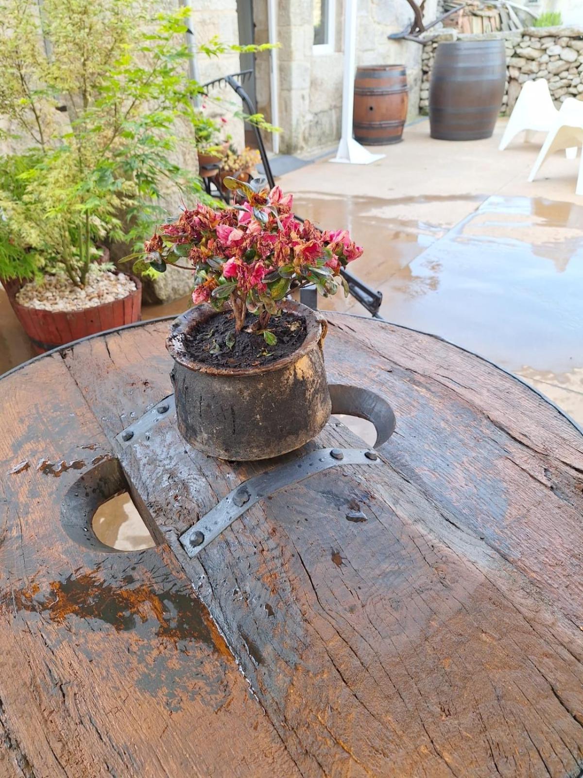 Pension O Corazon Da Ribeira Sacra La Teijeira エクステリア 写真