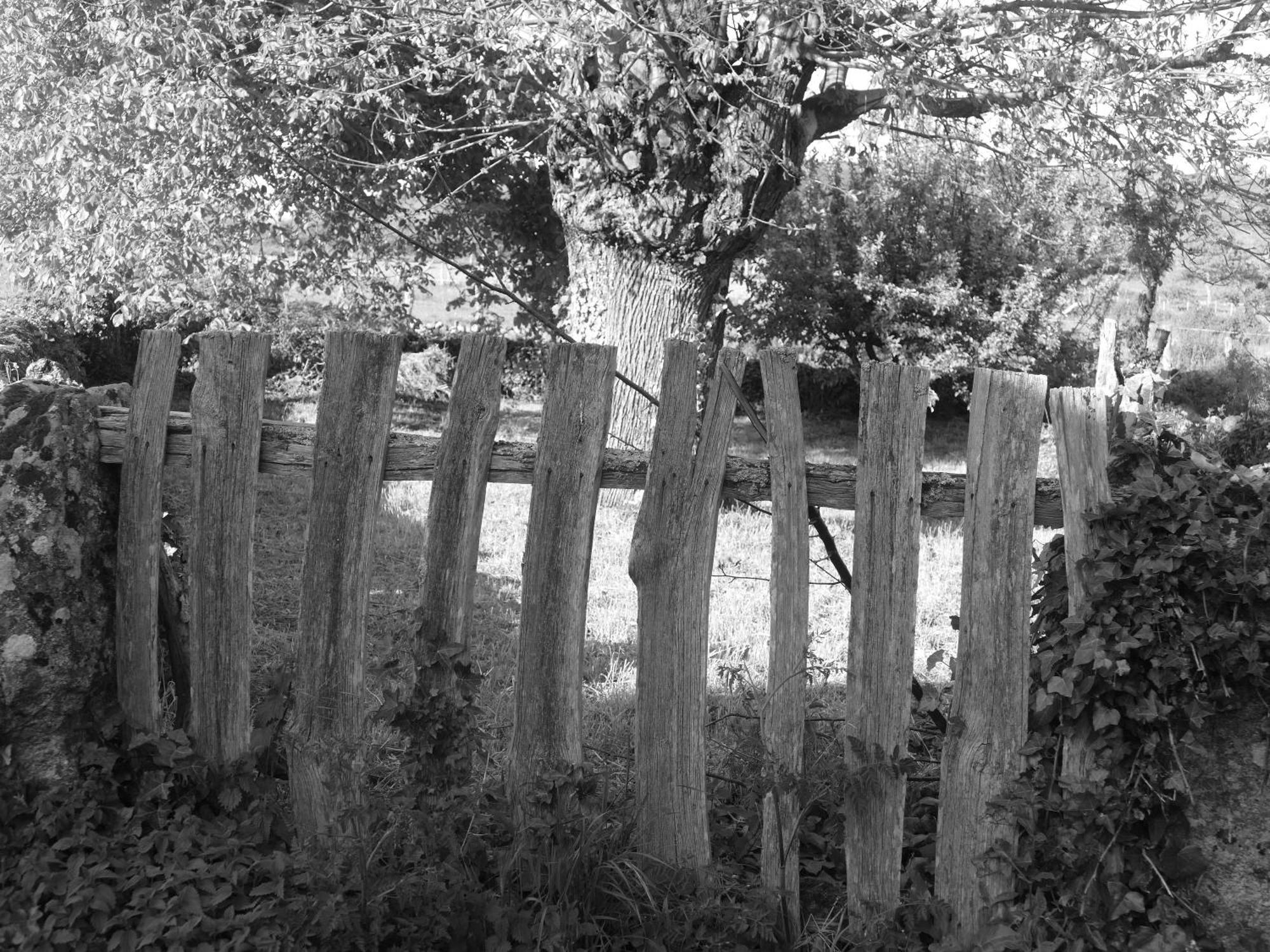 Pension O Corazon Da Ribeira Sacra La Teijeira エクステリア 写真