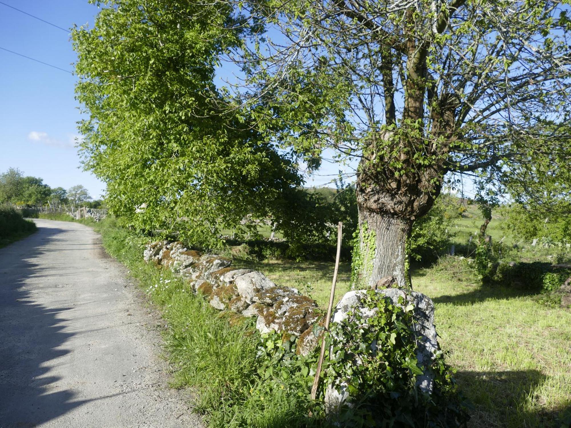 Pension O Corazon Da Ribeira Sacra La Teijeira エクステリア 写真